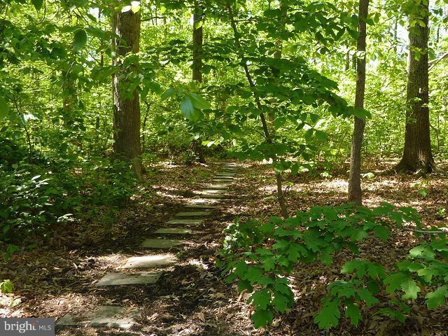 12351 Lima Lane Reston, VA 20191 - Photo 26 of 28 a view of a tree