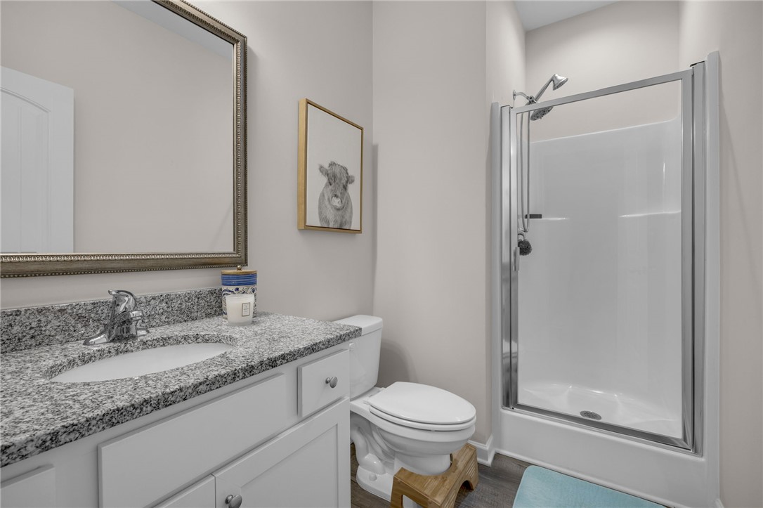 430 Johnson Road Central, SC 29630 - Photo 23 of 36 A well-lit primary bathroom features a granite-topped vanity and a glass-enclosed shower.