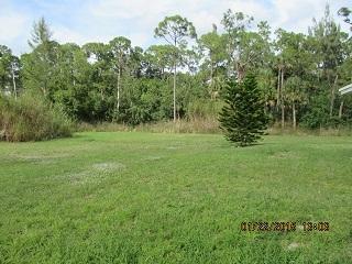 1103 F Road Loxahatchee, FL 33470 - Photo 5 of 14 1 22 back