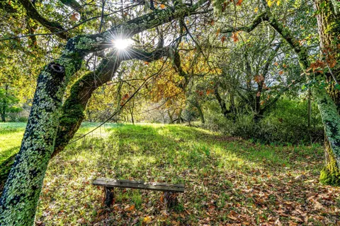 $435,000 | 1055 Heaven Hill Road, Sonoma, CA 95476