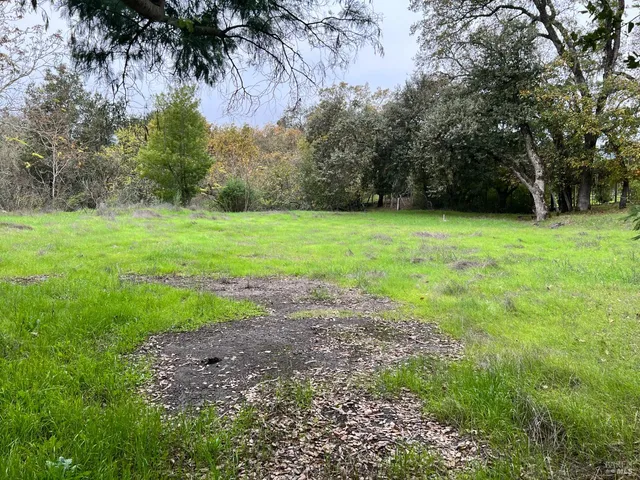 a view of a yard with a tree