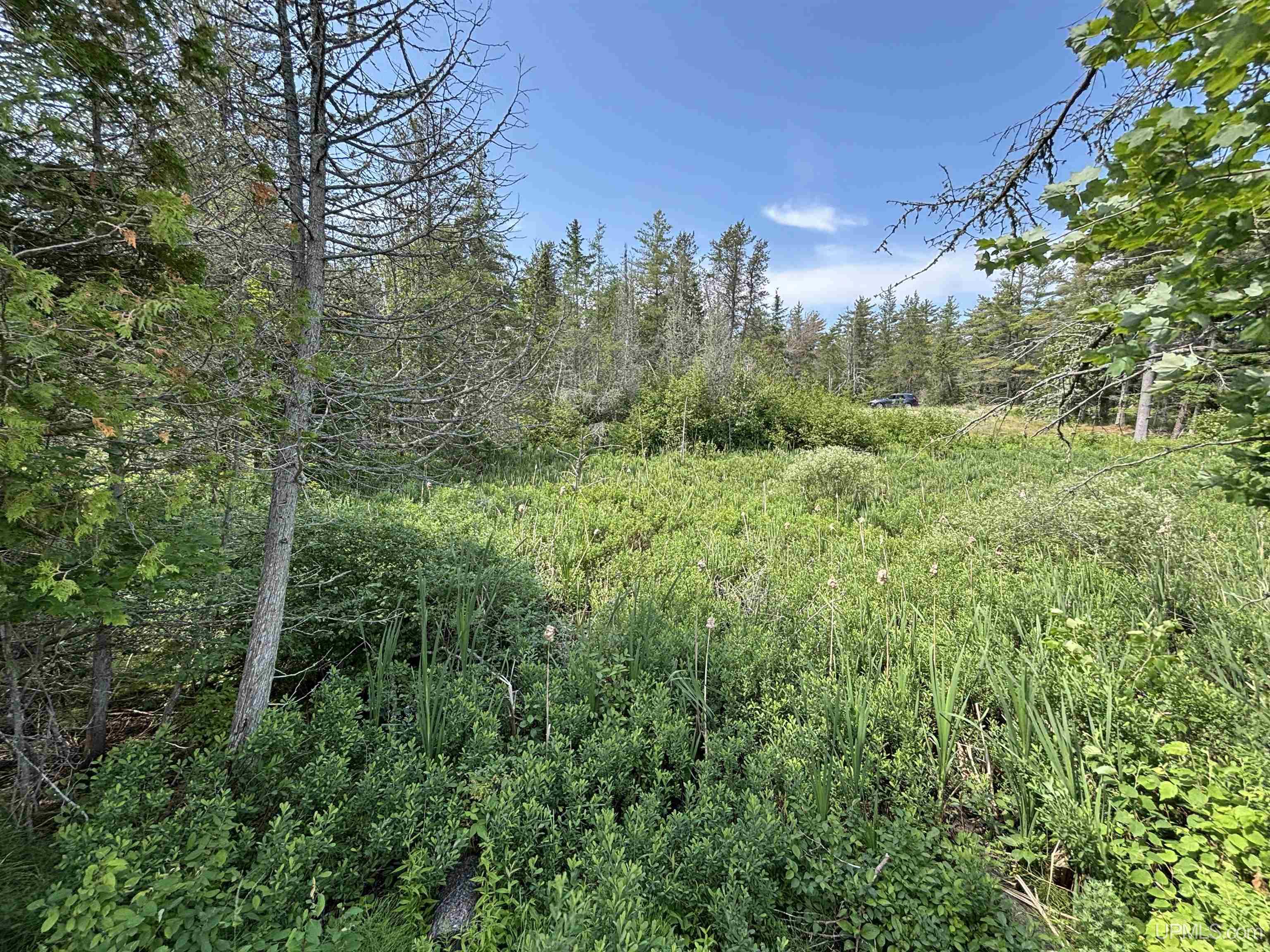 Tbd West Beach Road Naubinway, MI 49762 - Photo 26 of 45