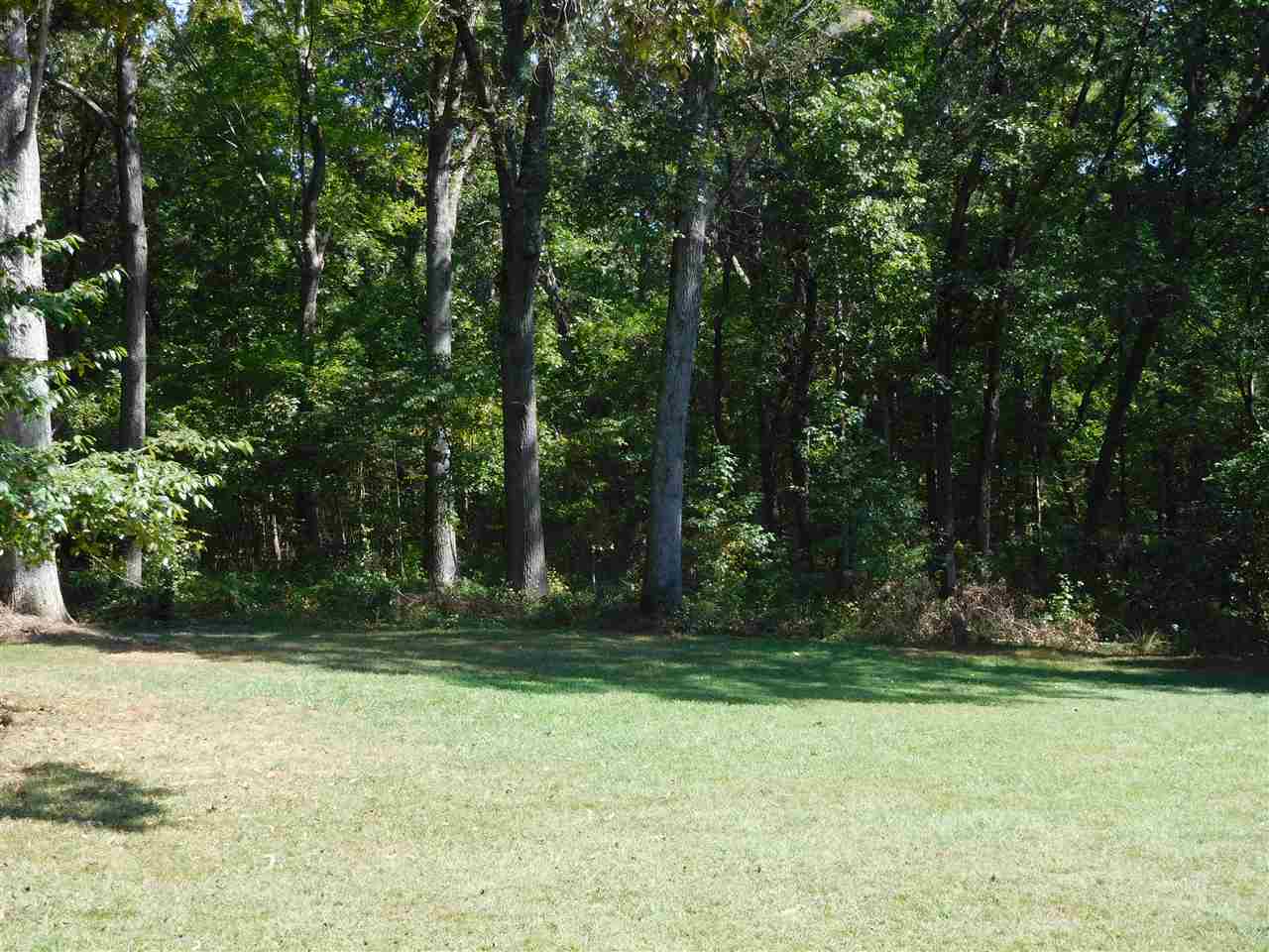 754 Grassy Pond Road Gaffney, SC 29341 - Photo 8 of 20