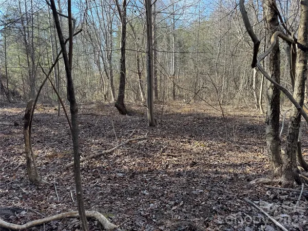 a view of a yard with trees
