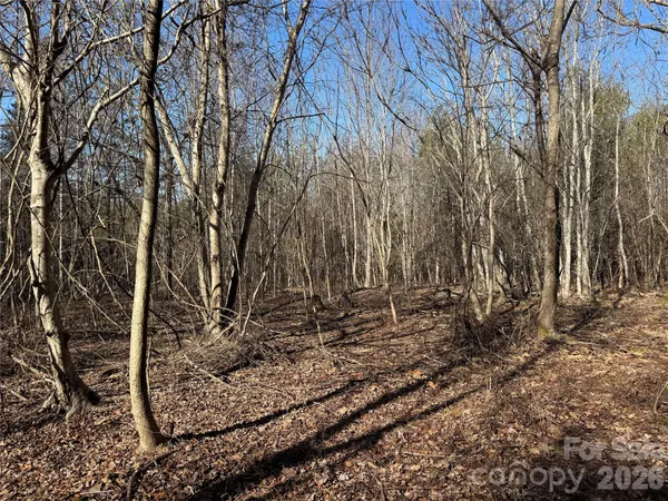 a view of a backyard of the house