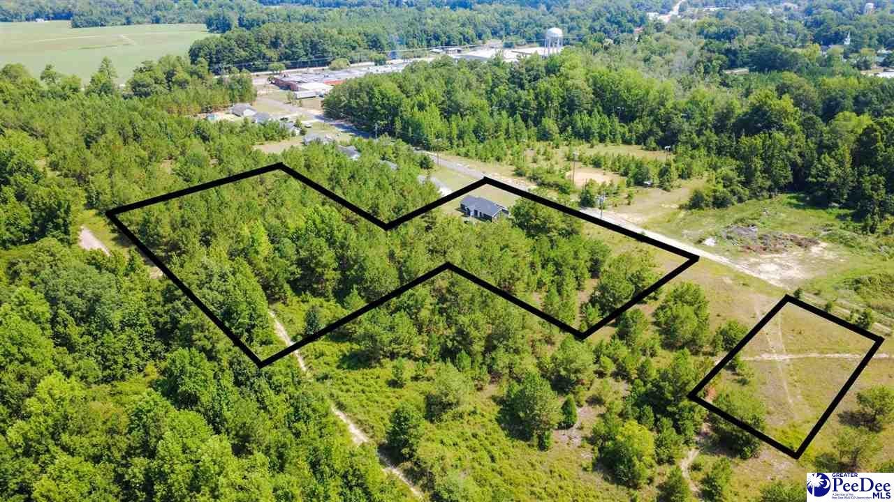 383 Red Road Olanta, SC 29114 - Photo 28 of 28 Gallery Image 28