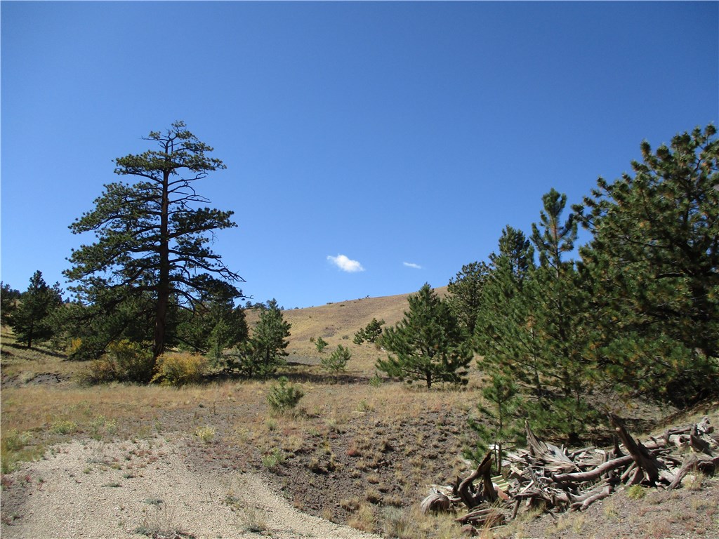 0 Keechi Road Hartsel, CO 80449 - Photo 10 of 20 Gallery Image 10