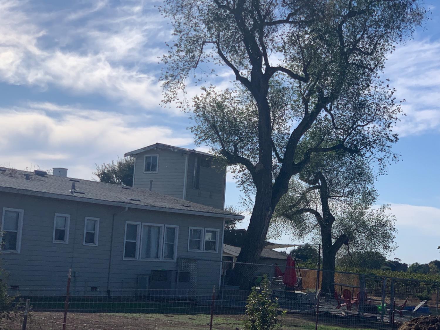 14141 East Prouty Road Galt, CA 95632 - Photo 8 of 9