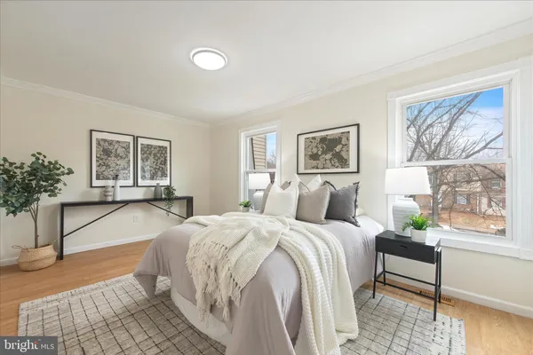 a living room with a couch and a potted plant