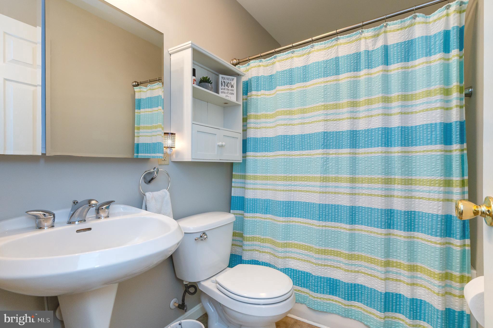 308 Cree Terrace Rising Sun, MD 21911 - Photo 28 of 51 a bathroom with a sink a mirror a toilet and shower curtain