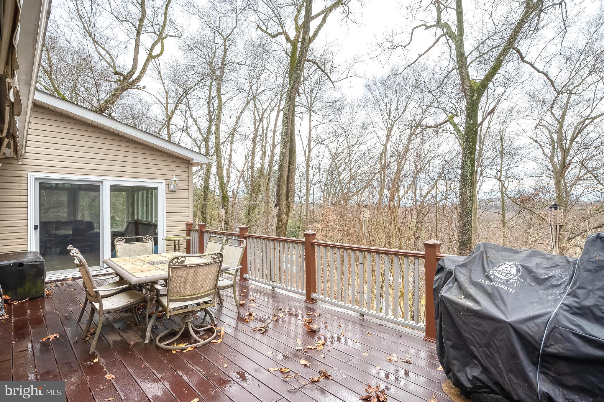 308 Cree Terrace Rising Sun, MD 21911 - Photo 43 of 51 a view of a chairs and table in the patio