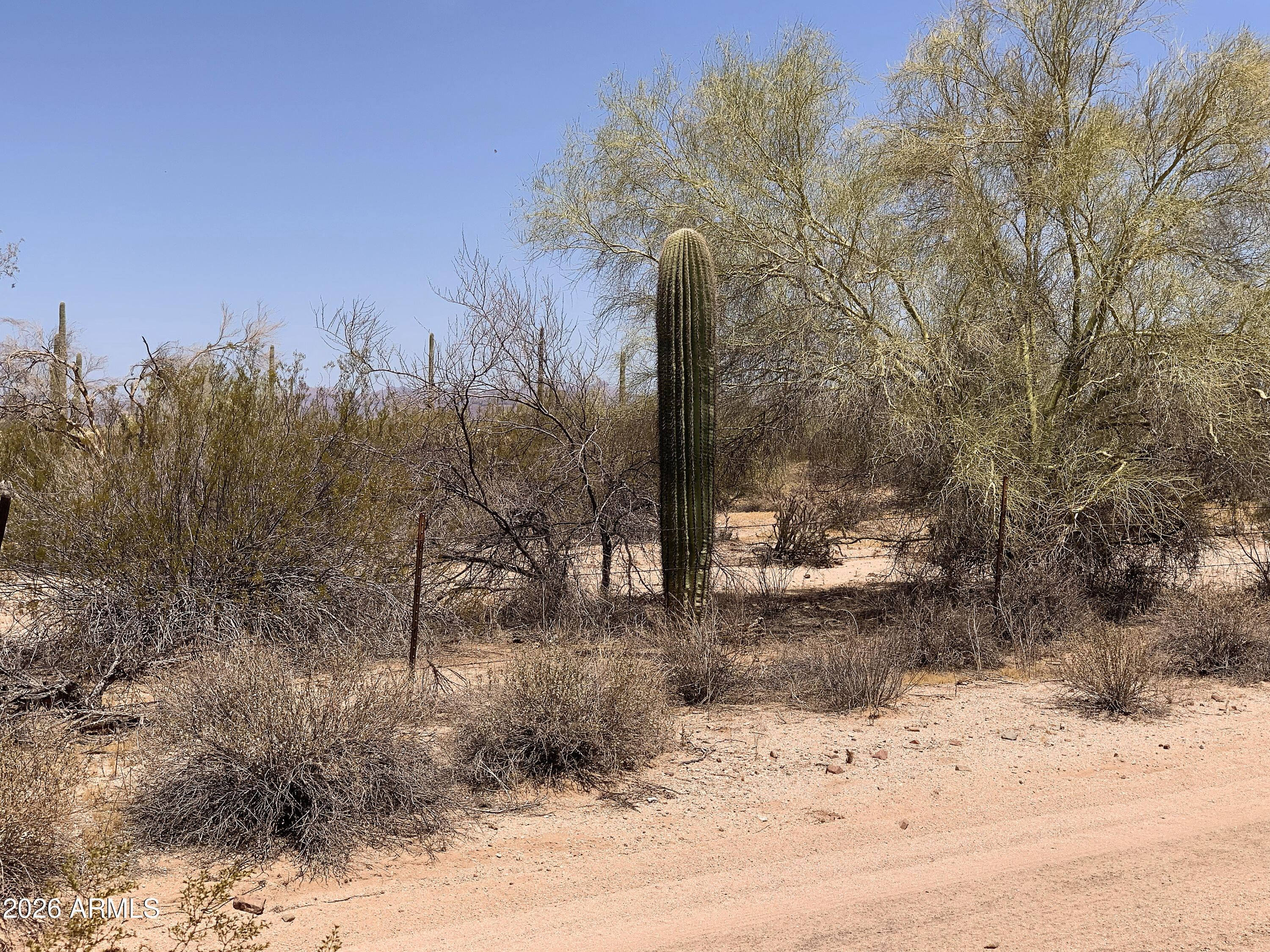 0 East Mayfield Road, Unit V Florence, AZ 85132 - Photo 7 of 16 Palo Verde & Mesquite!