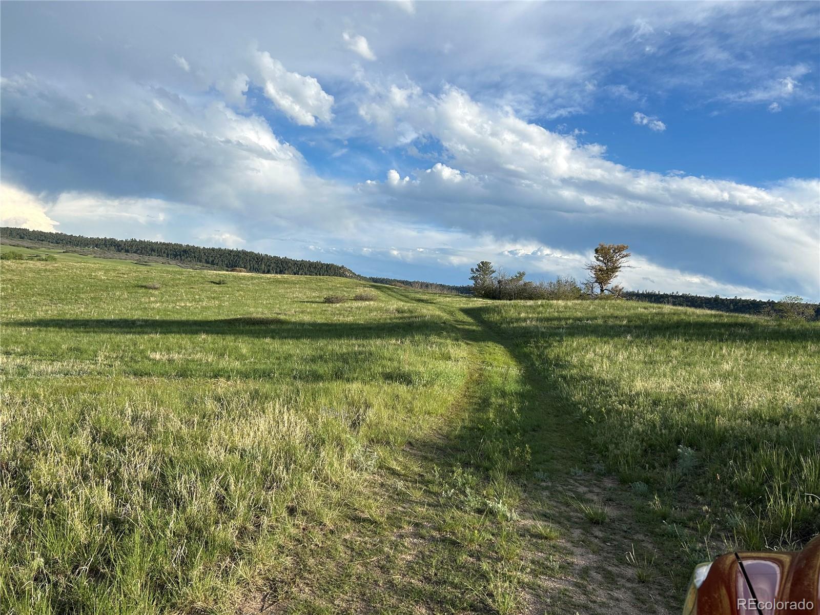 Castlewood Canyon Road Franktown, CO 80116 - Photo 2 of 8 a view of yard and ocean