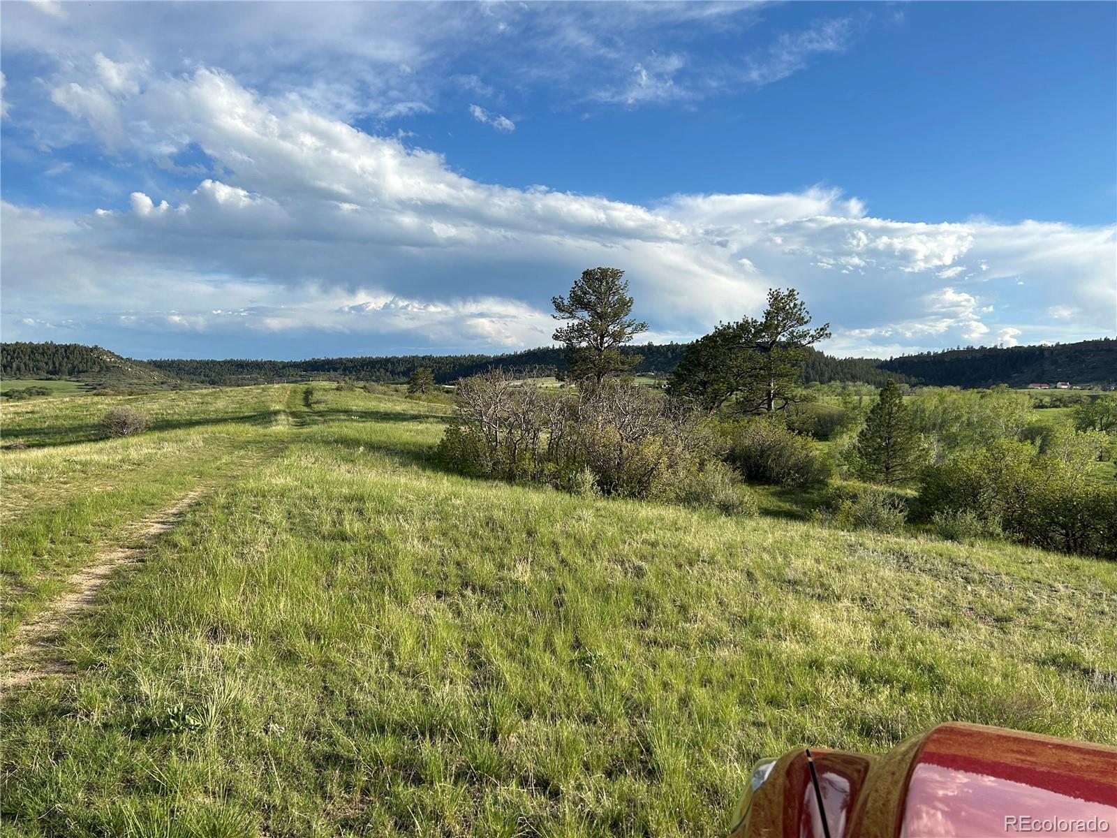 Castlewood Canyon Road Franktown, CO 80116 - Photo 3 of 8 a view of a yard with an outdoor seating