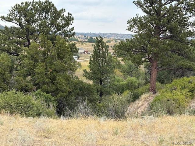 Castlewood Canyon Road Franktown, CO 80116 - Photo 5 of 8 a view of a yard with large trees