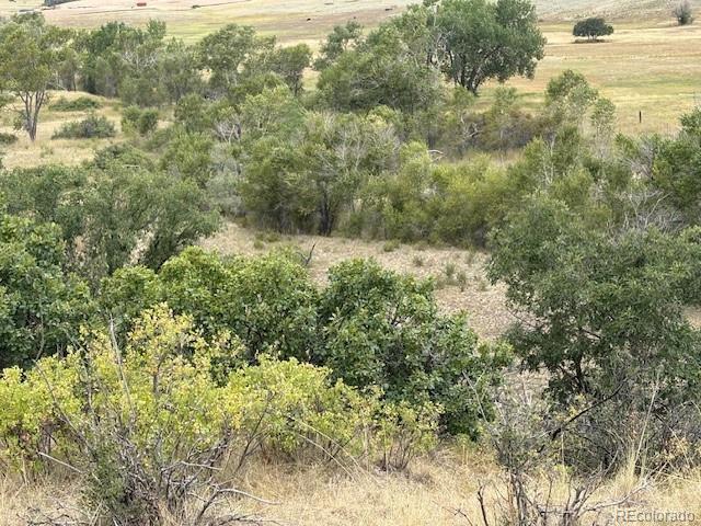 Castlewood Canyon Road Franktown, CO 80116 - Photo 6 of 8 a view of a yard with an outdoor space