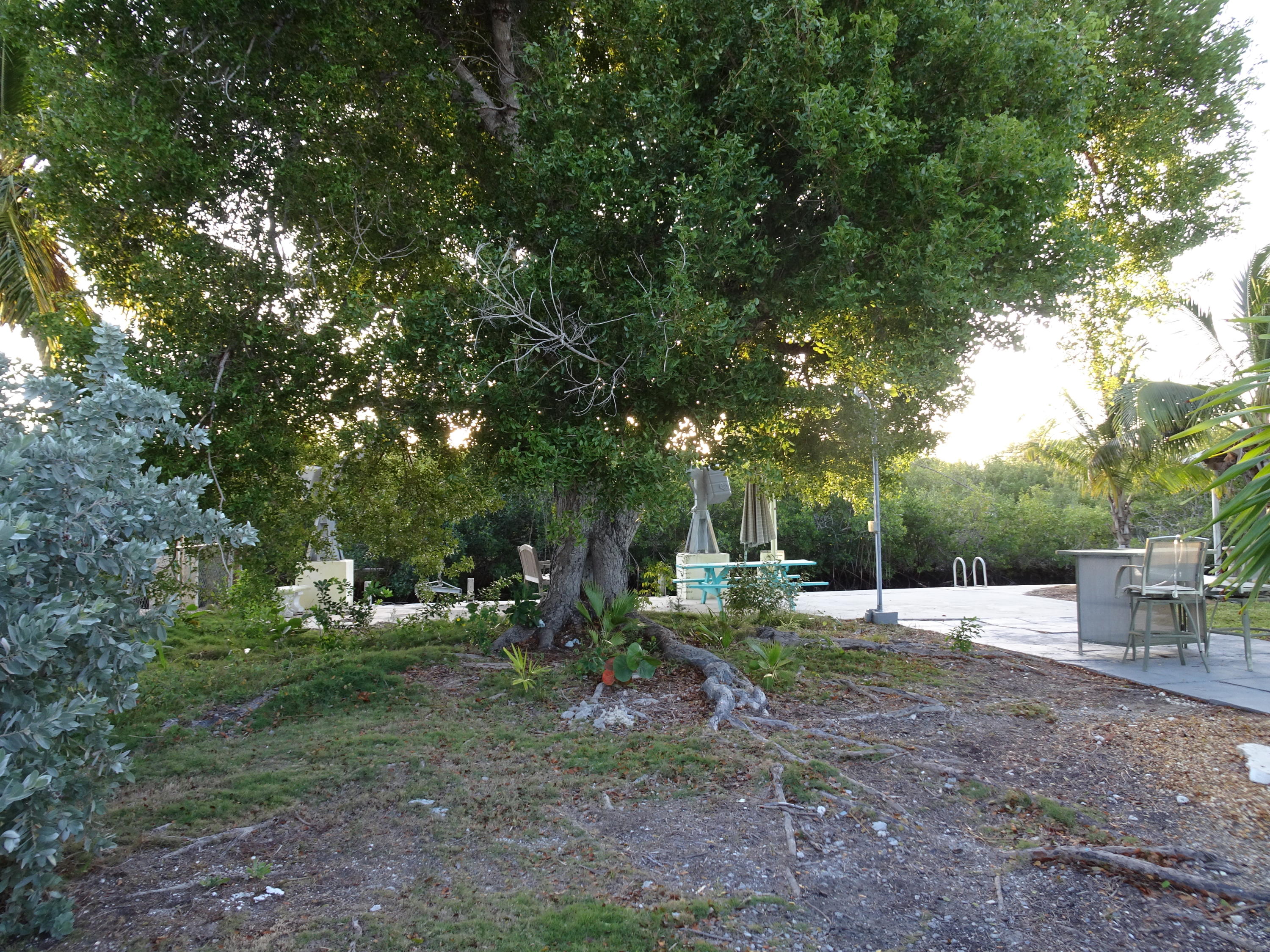 3965 Hall Road Big Pine Key, FL 33043 - Photo 35 of 63 DSC00299