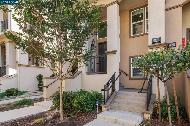 a plant is sitting in front of a brick house