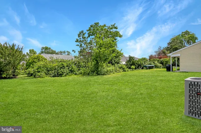 a view of a backyard with large trees
