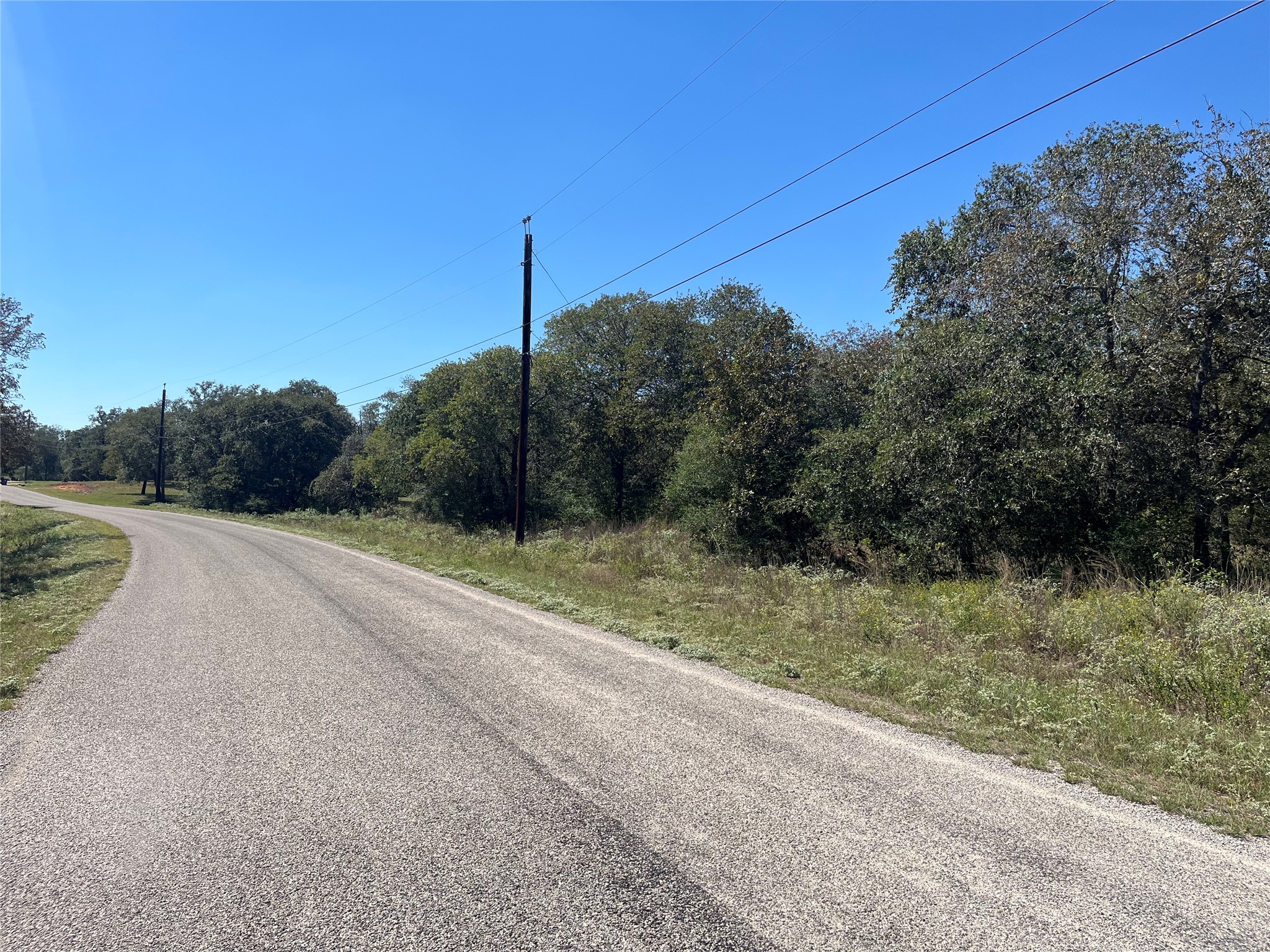 Tbd Flash Circle Luling, TX 78648 - Photo 7 of 9 Mature trees frame the property line along a paved quiet country road.