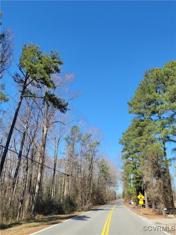 5500 Meadow Road Sandston, VA 23150 - Photo 3 of 5 a view of a street with flower plants