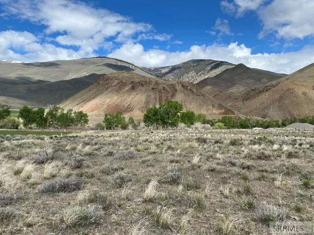 $64,500 | Lot 1 River's Edge Road, Challis, ID 83226