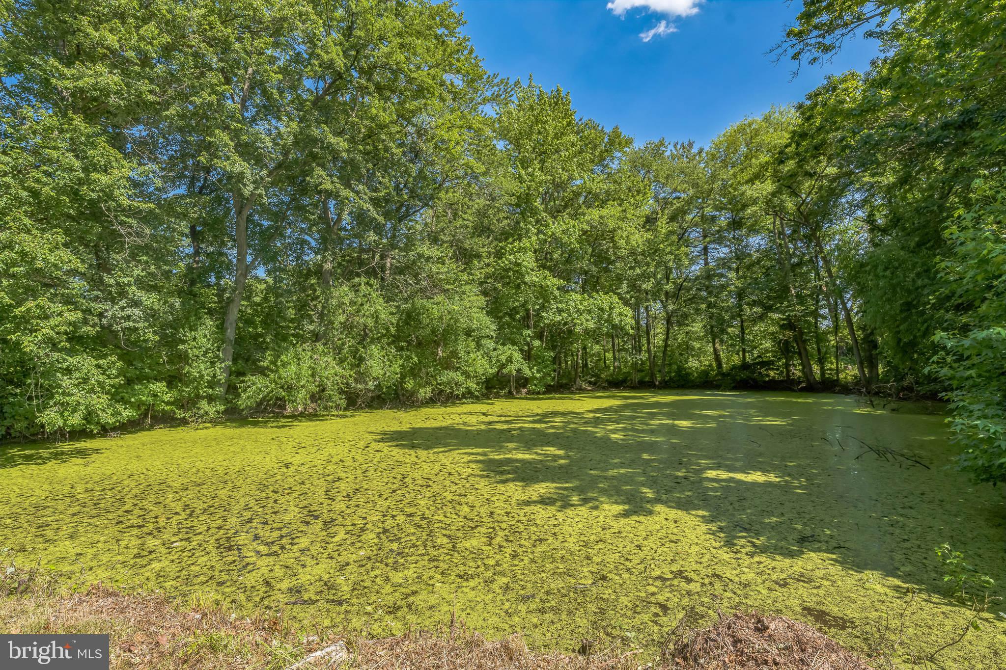 17 Sportsman Road Carneys Point, NJ 08069 - Photo 26 of 37