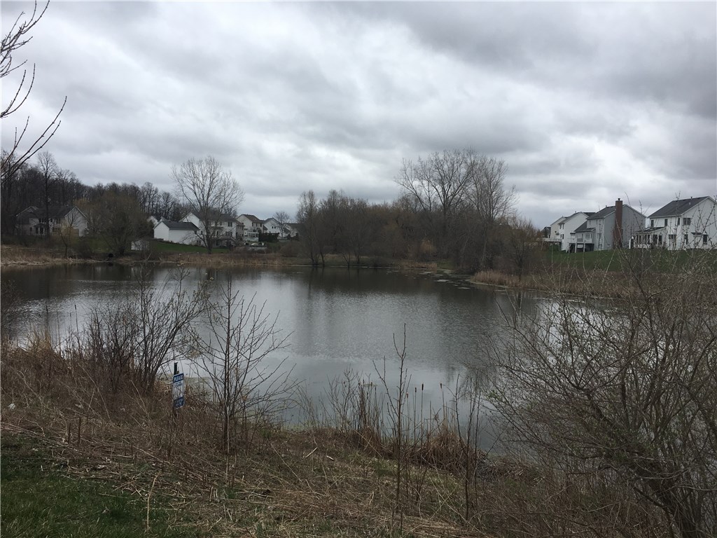 Lot Lane Lane Road Victor, NY 14564 - Photo 1 of 1 This is a view of the pond section. There is also