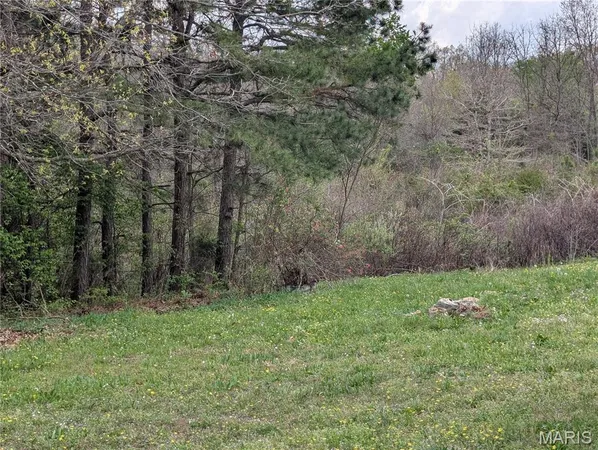 $110,000 | 17221 Chicory Road, Phillipsburg, MO 65722