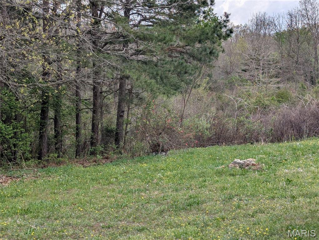 17221 Chicory Road Phillipsburg, MO 65722 - Photo 7 of 8