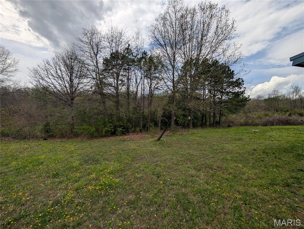 17221 Chicory Road Phillipsburg, MO 65722 - Photo 8 of 8