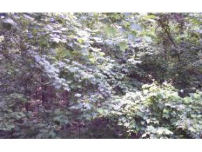 3350 South St Road Bloomington, IN 47401 - Photo 10 of 12