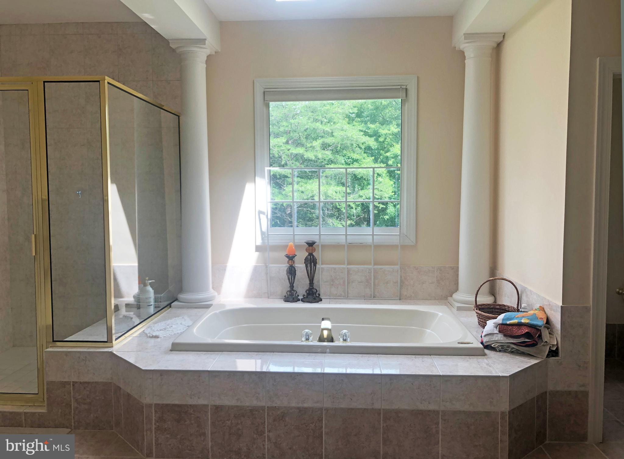 12625 Greenbriar Road Potomac, MD 20854 - Photo 12 of 19 Owner Ensuite Bath