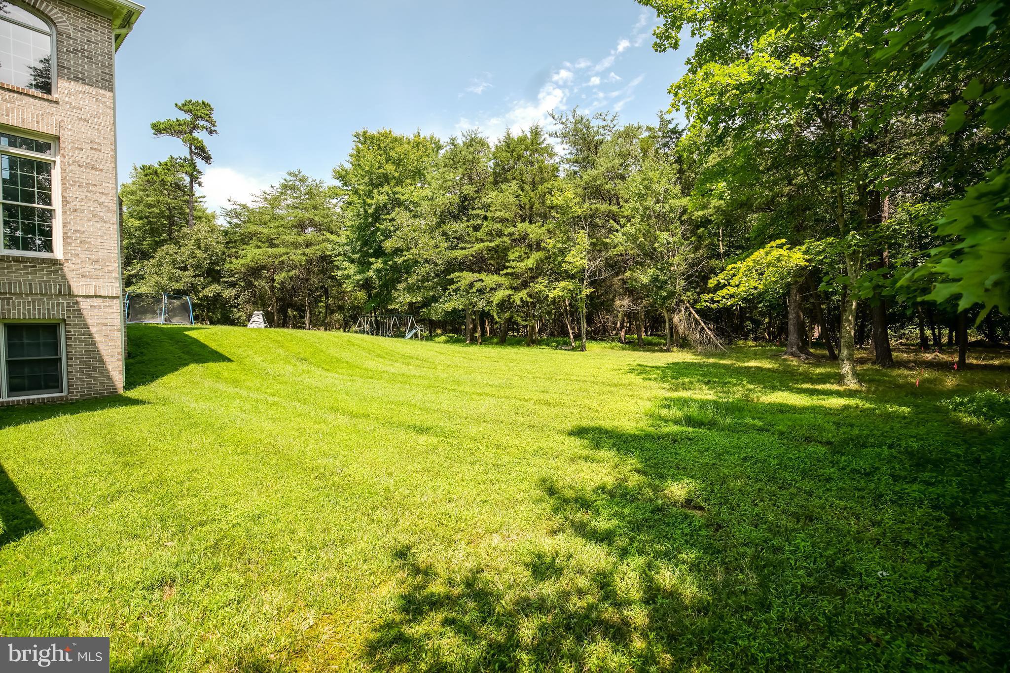 12625 Greenbriar Road Potomac, MD 20854 - Photo 16 of 19 Large Flat Yard