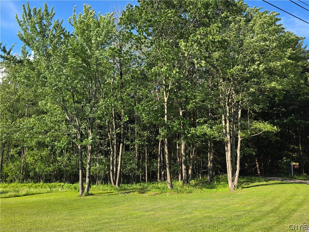344 Brown Road Frankfort, NY 13340 - Photo 34 of 38