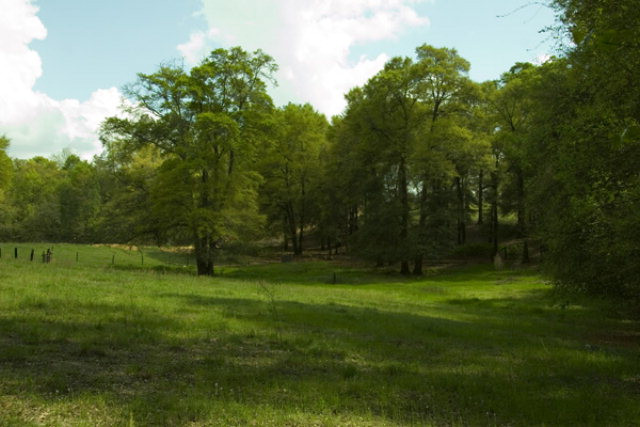 1095 B Horseshoe Road Augusta, GA 30906 - Photo 1 of 1 Main View