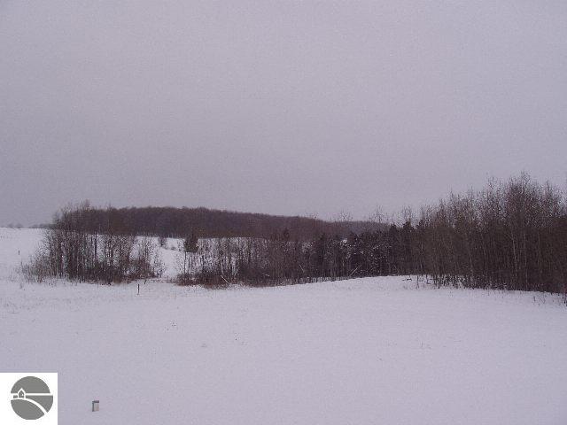 9150 Blackman Road Kingsley, MI 49649 - Photo 9 of 9 1658209-8.JPG