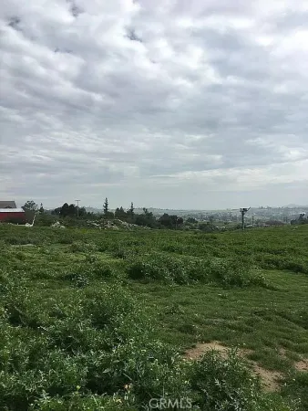 a view of a big yard with lots of green space