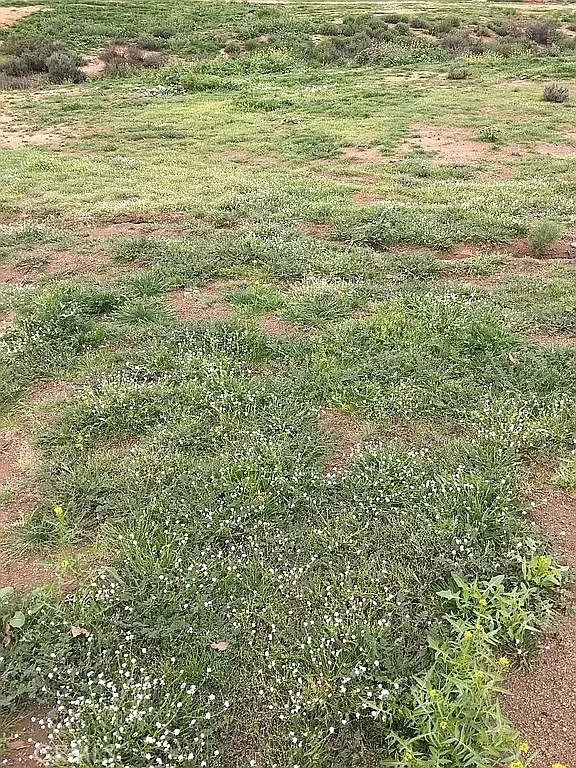 17900 Nandina Riverside, CA 92504 - Photo 4 of 6