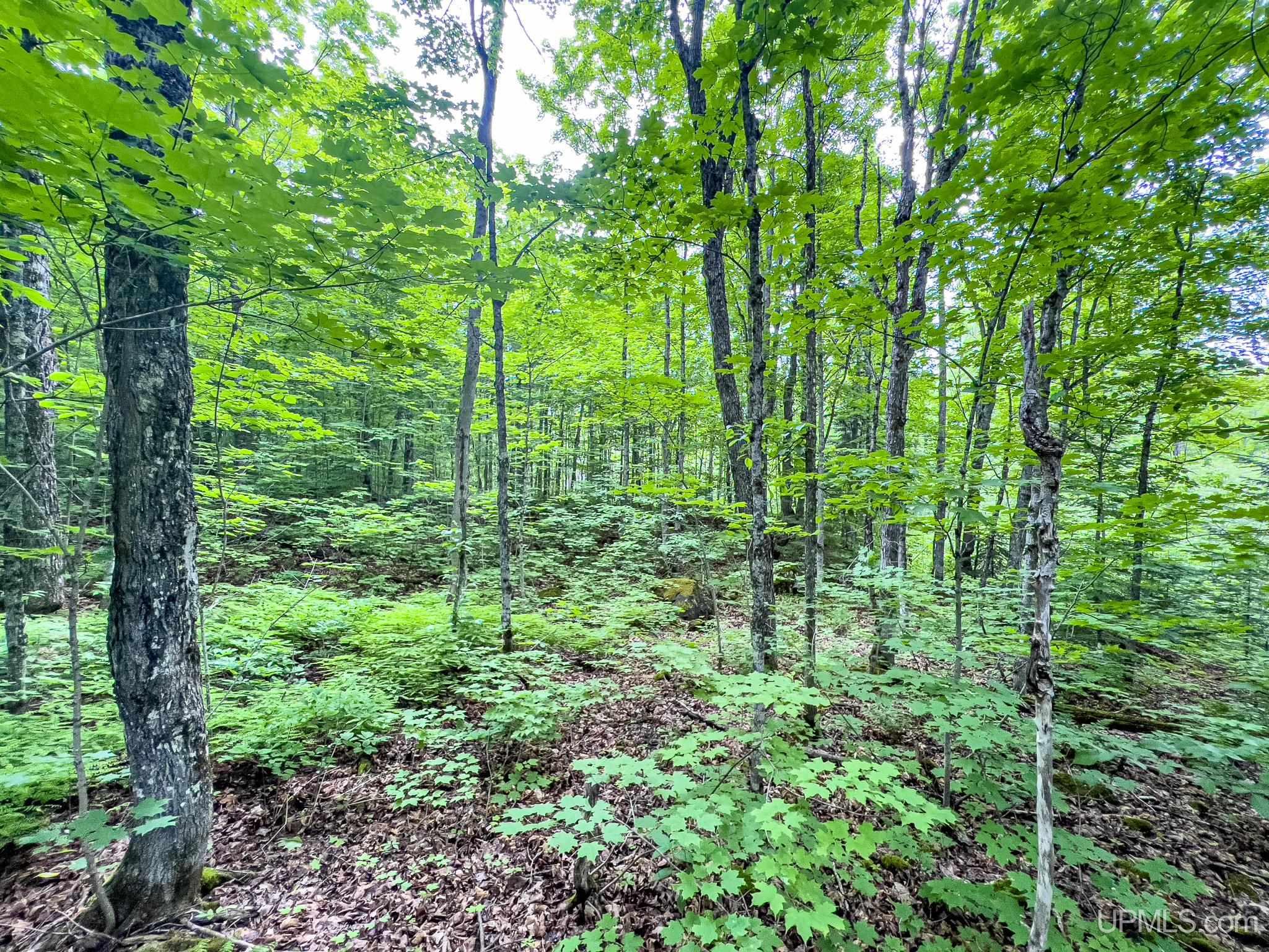 4 Grade Road Wakefield, MI 49968 - Photo 14 of 15