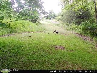 9881 Waddy Road Waddy, KY 40076 - Photo 62 of 80 IMG_1740