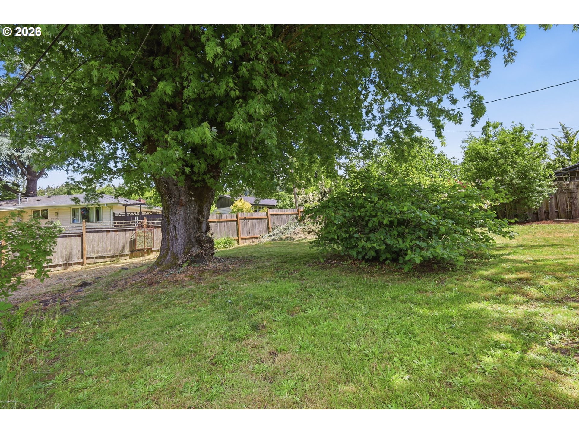 3025 Harris Street Eugene, OR 97405 - Photo 40 of 44 a view of a yard with a tree