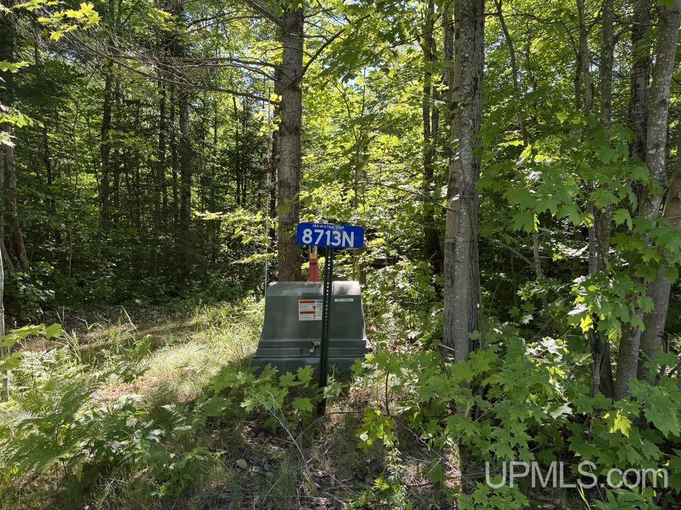8713 Boot Lake Road Manistique, MI 49854 - Photo 9 of 12 Gallery Image 9