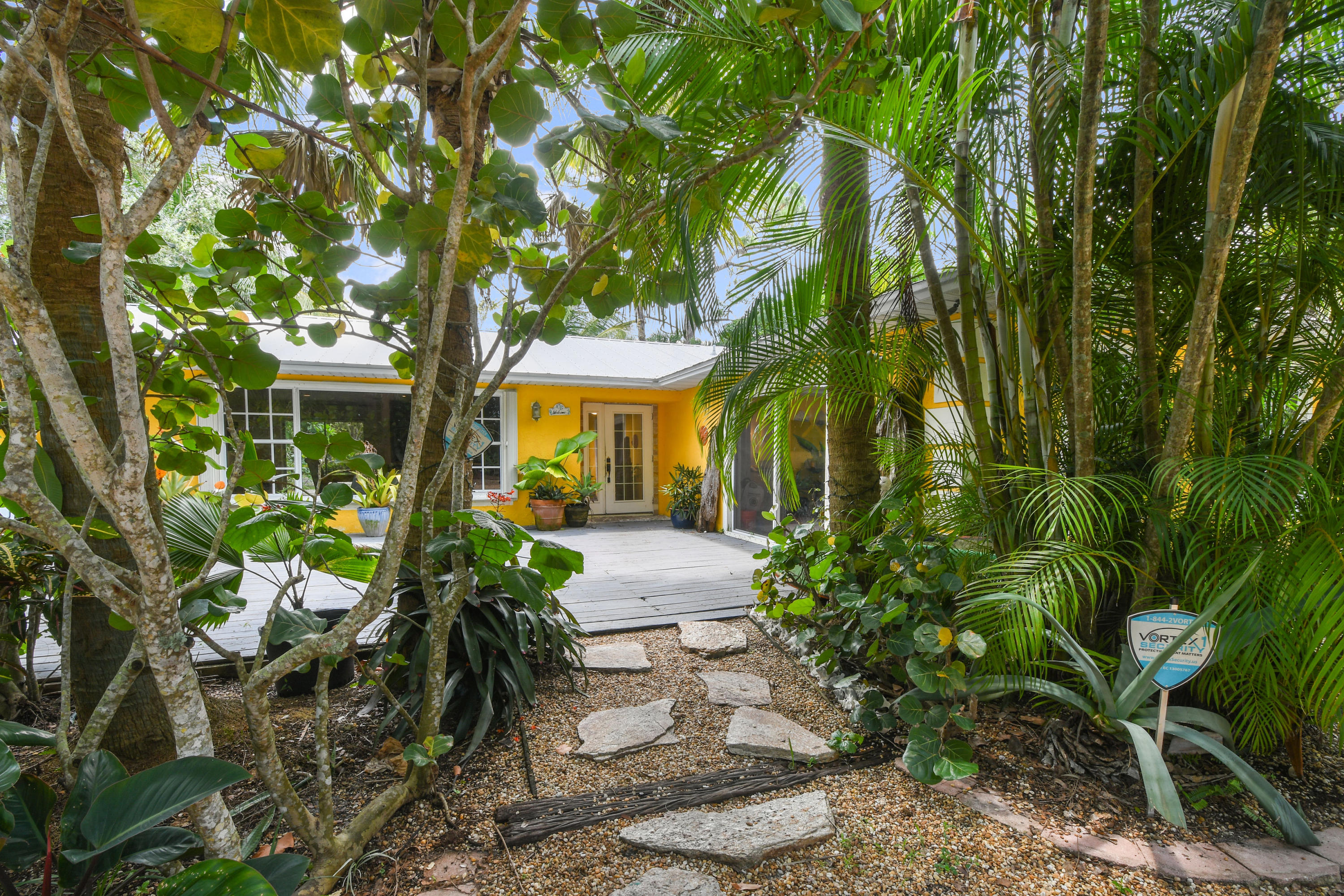 a view of a garden with plants