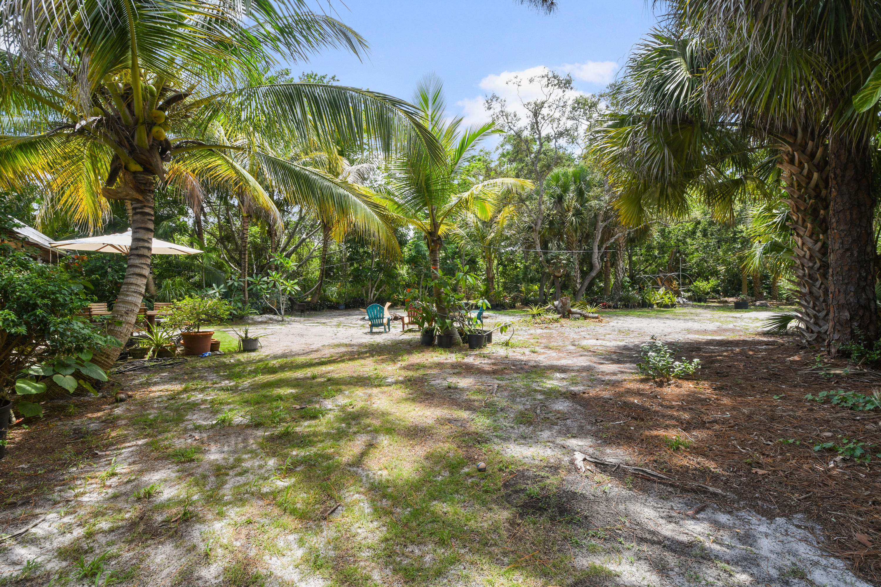19943 Pinetree Drive Jupiter, FL 33469 - Photo 29 of 42 a view of road with trees