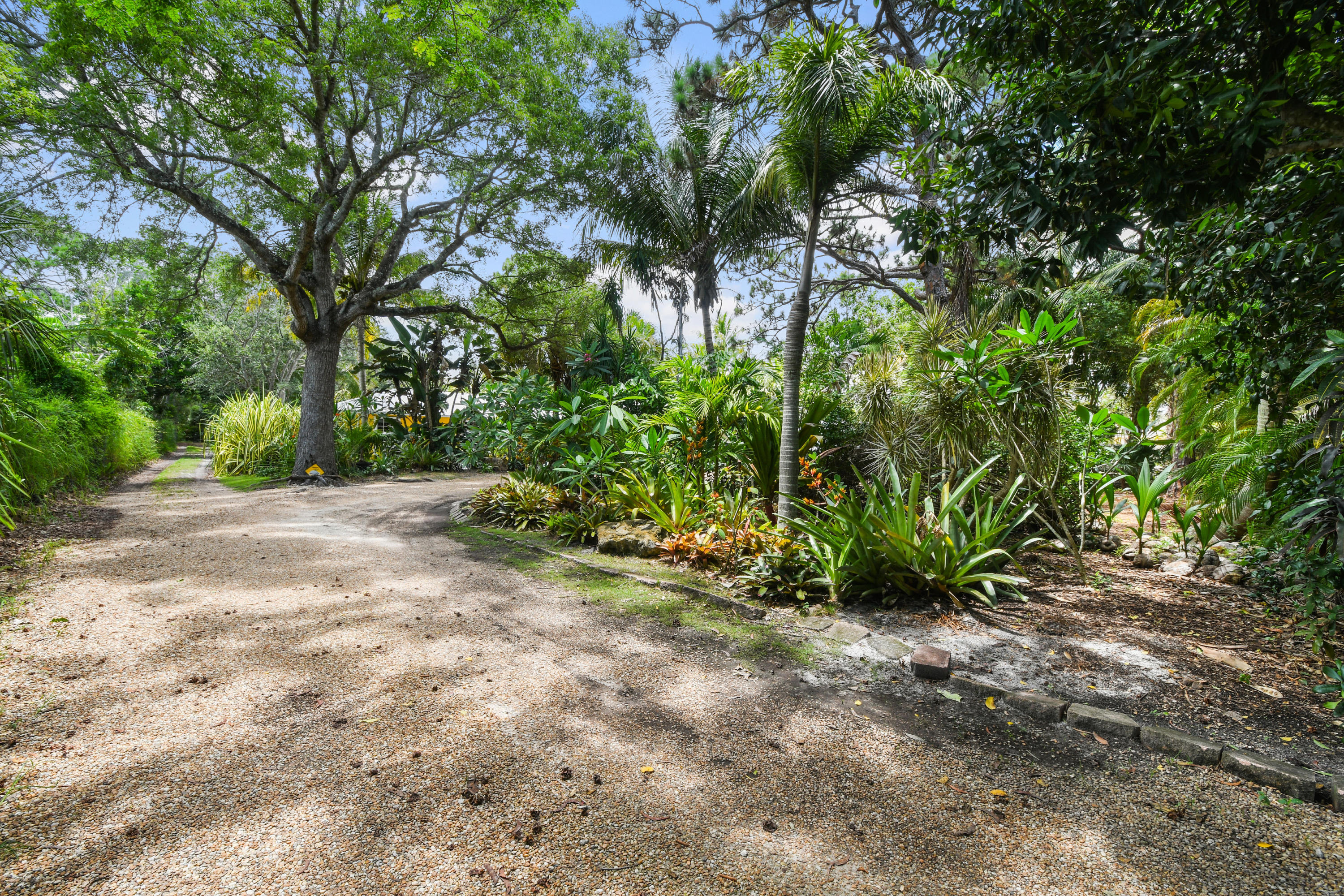 19943 Pinetree Drive Jupiter, FL 33469 - Photo 3 of 42 a view of backyard with green space