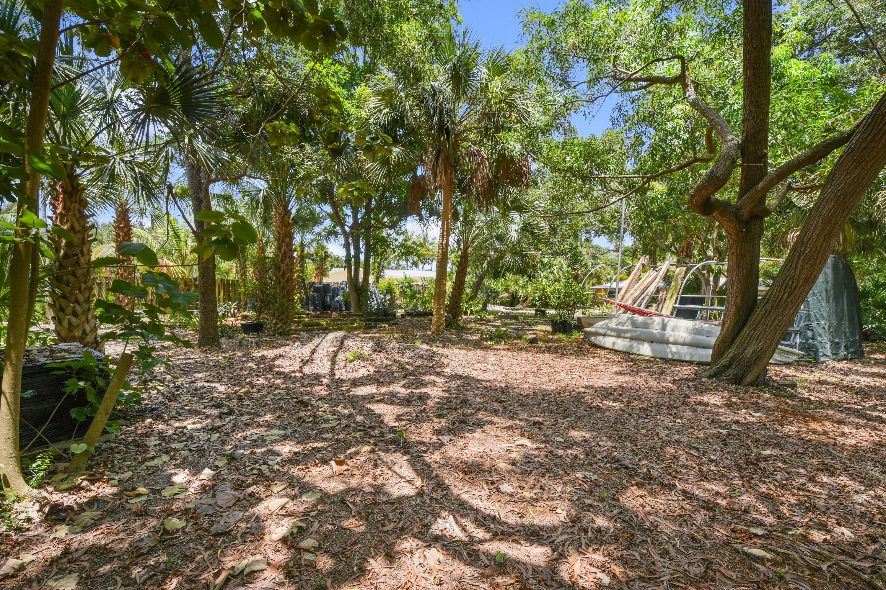 19943 Pinetree Drive Jupiter, FL 33469 - Photo 32 of 42 a view of backyard with green space