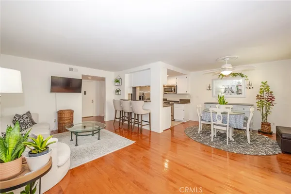 a living room with furniture a dining table and a potted plant