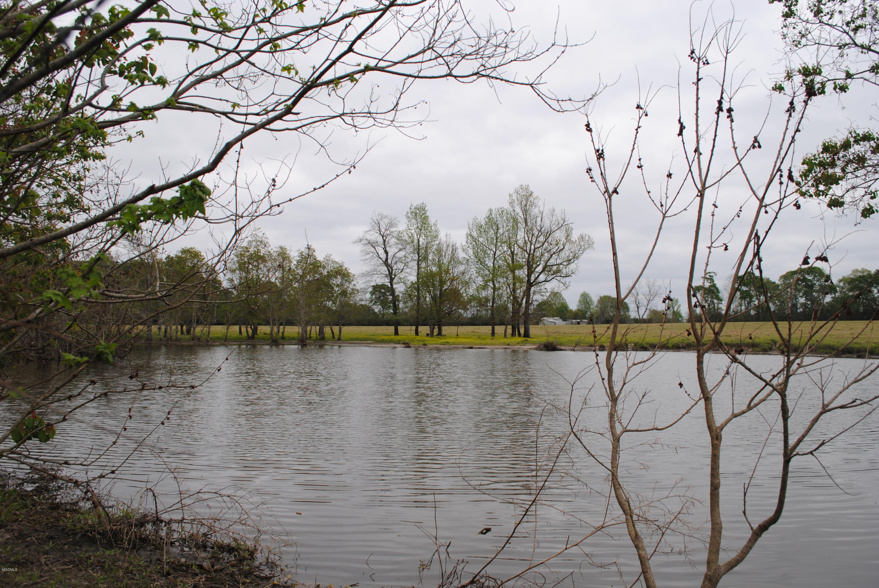 Tbd City Bridge Road Perkinston, MS 39573 - Photo 1 of 11 Pond 1