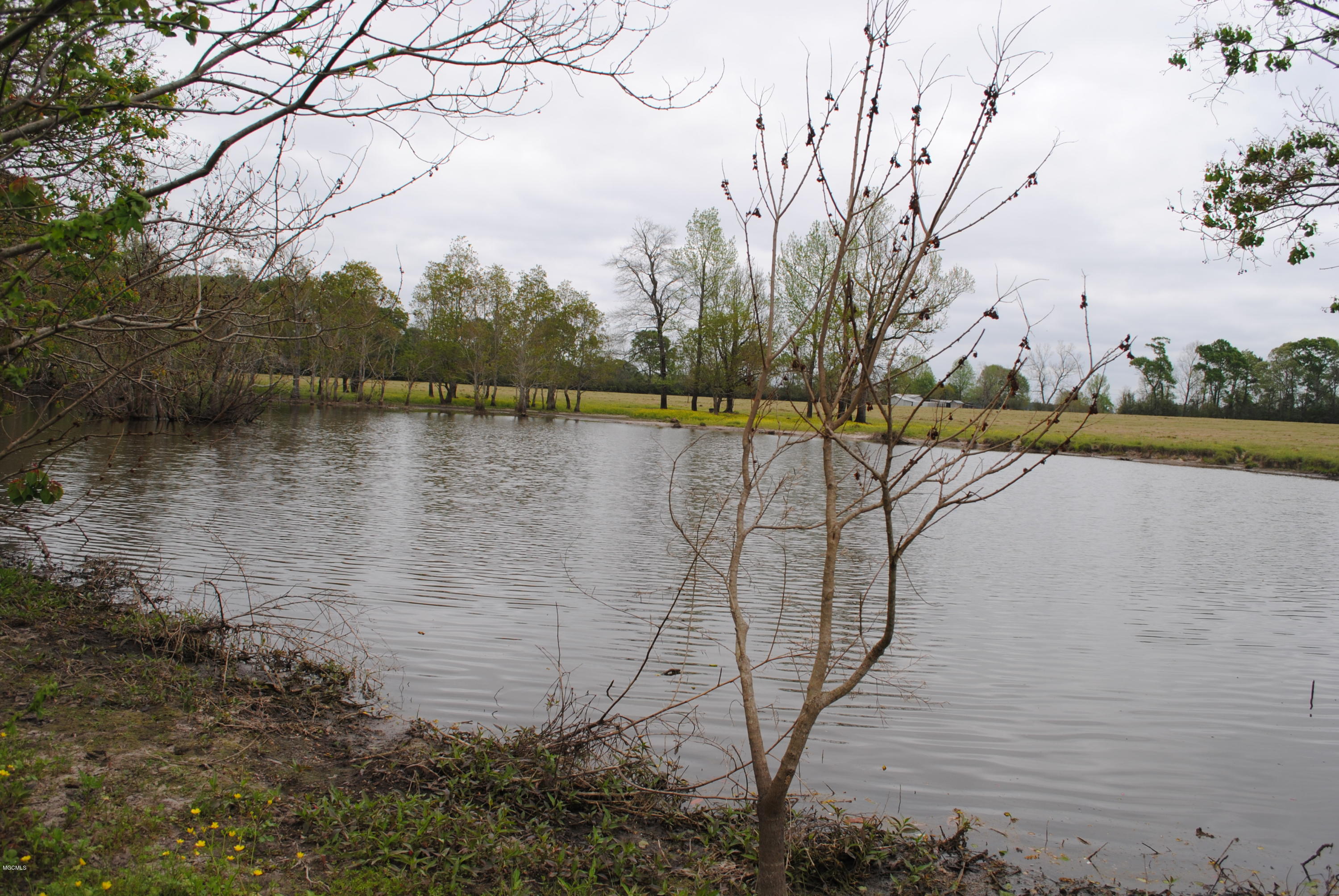 Tbd City Bridge Road Perkinston, MS 39573 - Photo 2 of 11 Pond 2